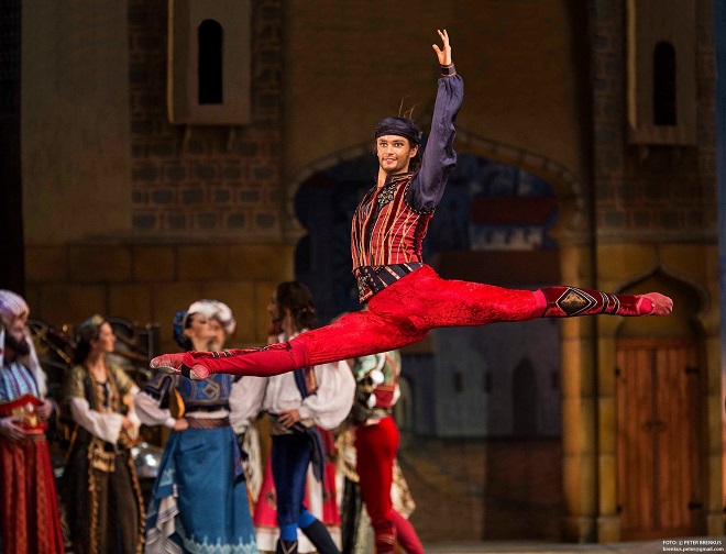 A. Ch. Adam: Korzár - Dominic James Ballard (Birbanto) - SND 2016 (foto: ©Peter Brenkus)