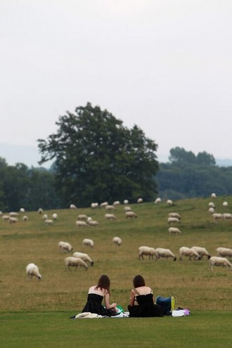 Piknik a ovečky v Glyndebourne (foto © Glyndebourne Productions Ltd./Sam Stephenson)