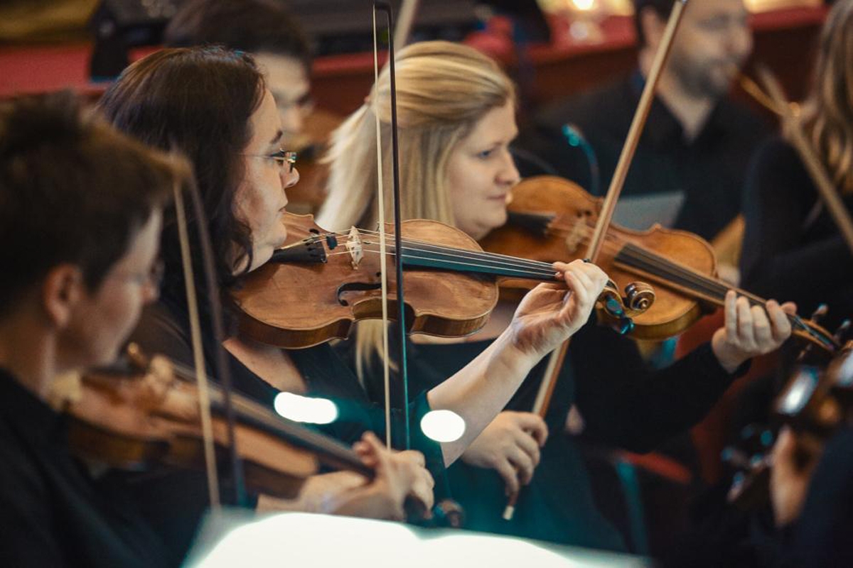 Musica Florea (foto Zdeněk Nováček)