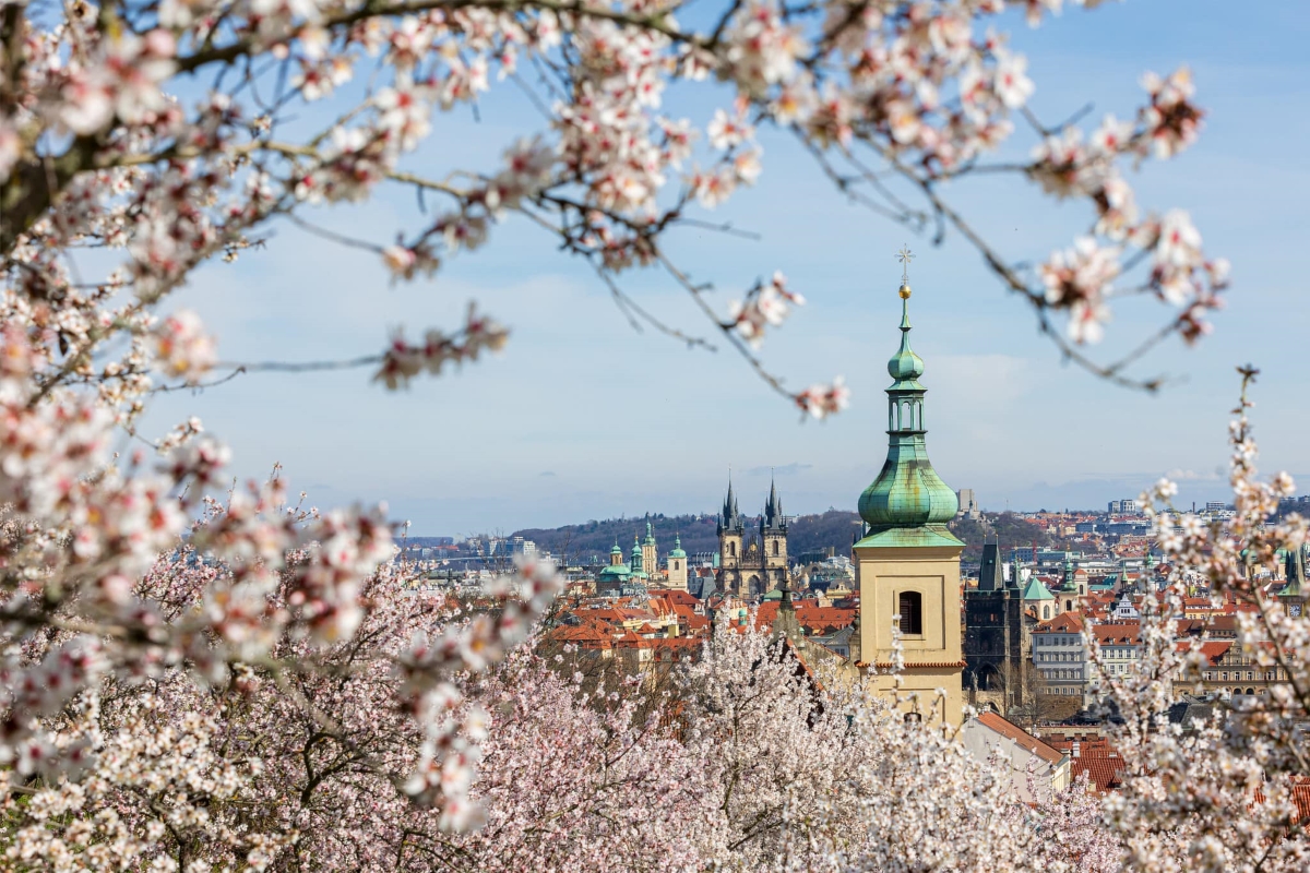 Praha (zdroj Praha.eu, foto Radoslav Vnenčák)