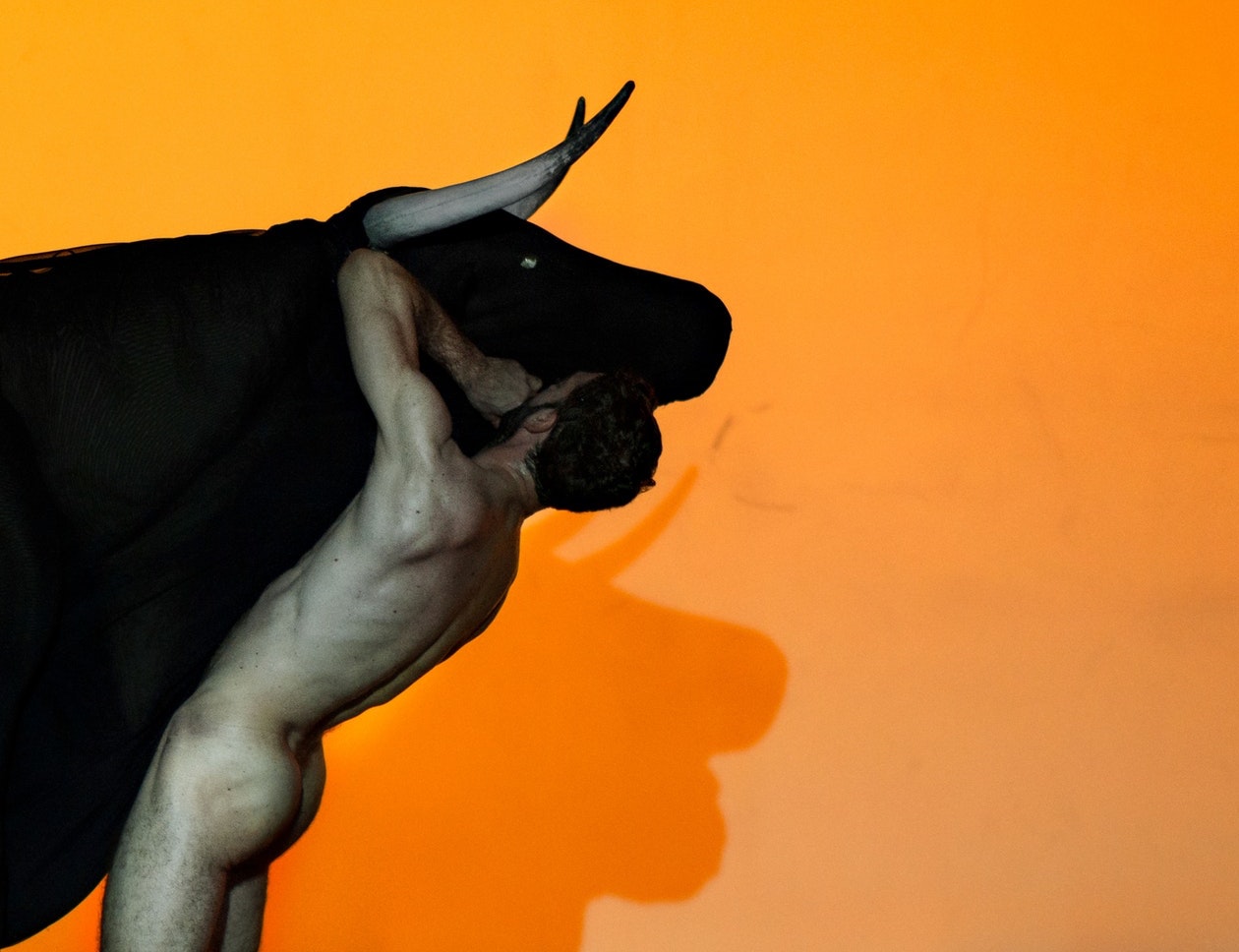 Transverse Orientation (foto Julian Mommert)