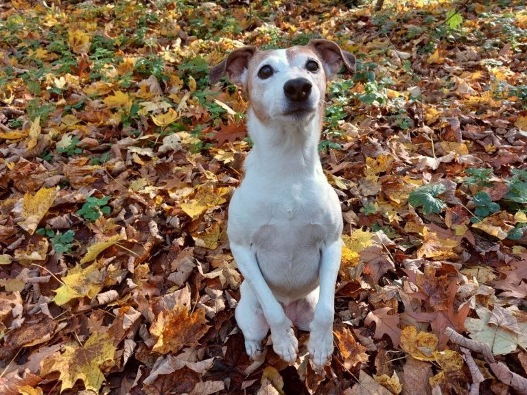 Ilustrační foto (zdroj Opera Plus)