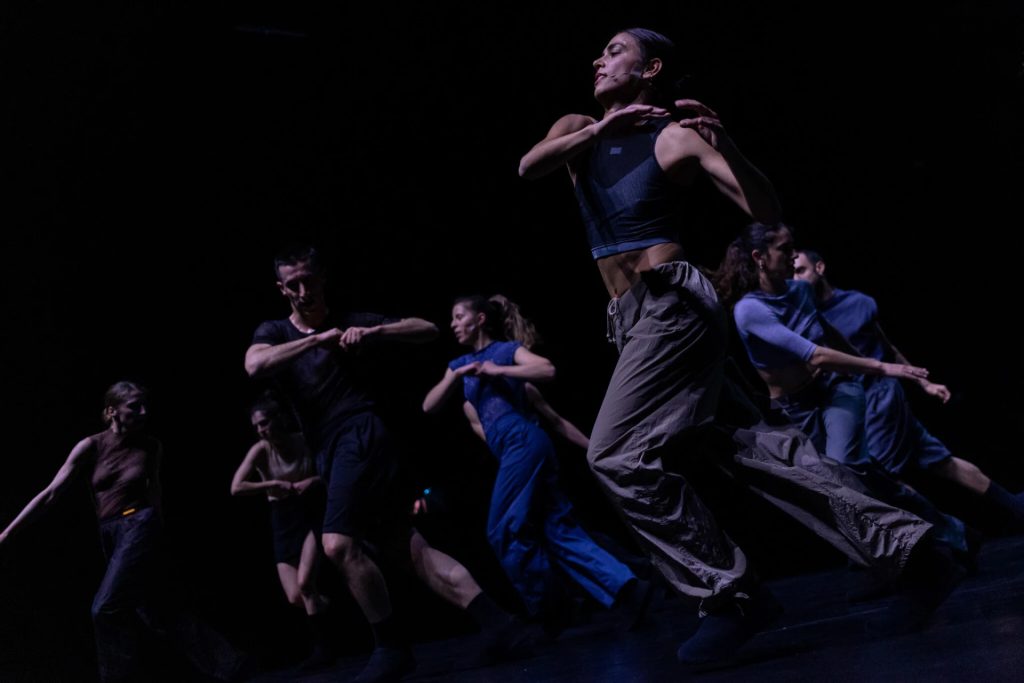 Christos Papadopoulos: My Fierce Ignorant Step (foto Pinelopi Gerasimou)