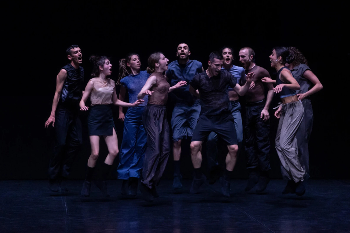 Christos Papadopoulos: My Fierce Ignorant Step (foto Pinelopi Gerasimou)