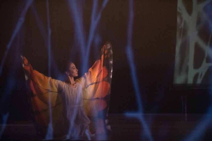 Divadlo J. K. Tyla – Špalíček (Mami Mołoniewicz, foto Irena Štěrbová)