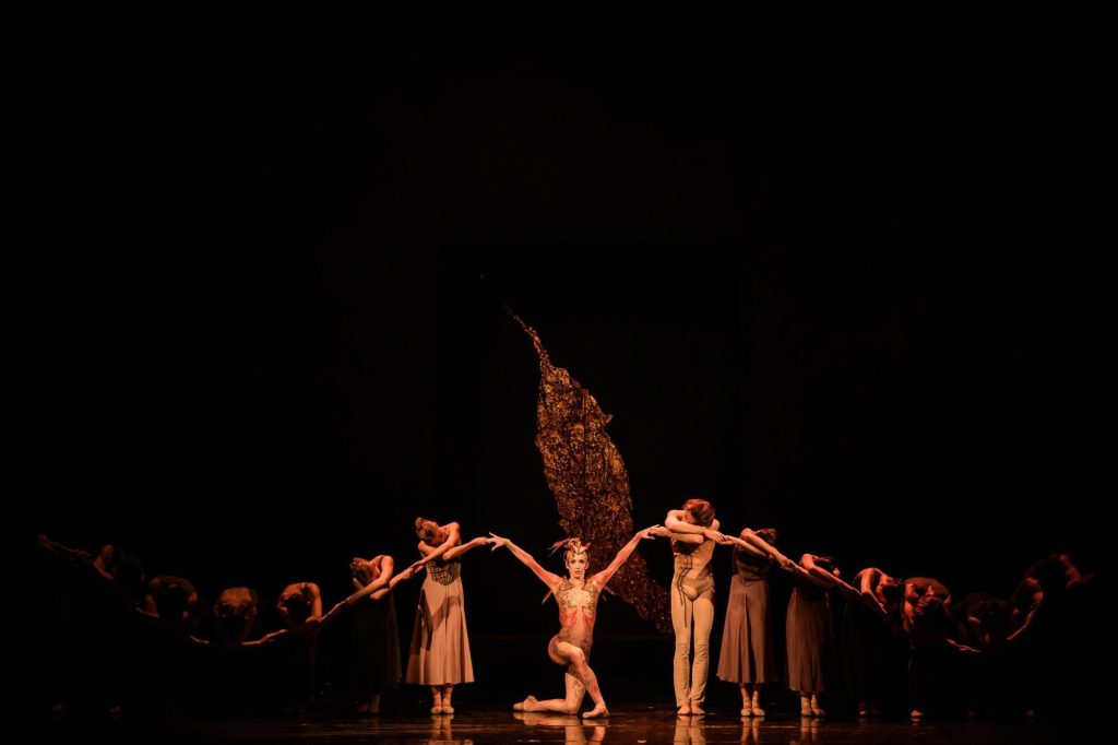 Igor Stravinskij: Pták Ohnivák, Moravské divadlo Olomouc – Ksenia Ovsyanick (foto Serghei Gherciu)