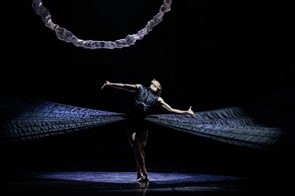 Igor Stravinskij: Svěcení jara, Moravské divadlo Olomouc – Sergio Méndez Romero (foto Serghei Gherciu)