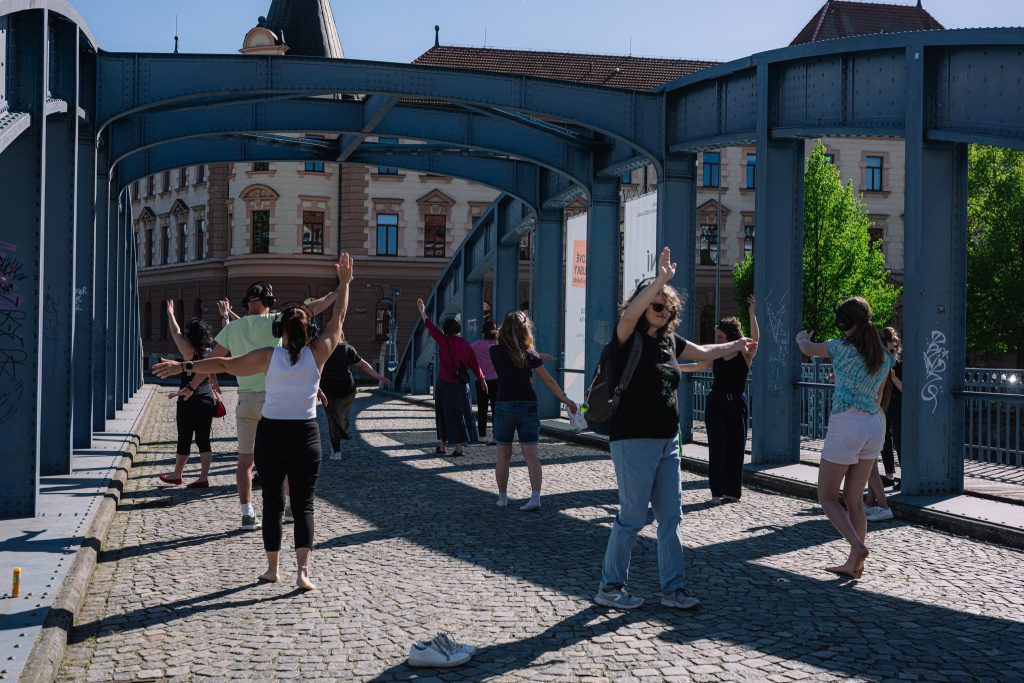 Jižní Svéráz 2026 – Temporary Collective: Silent (zdroj Jihočeské divadlo)