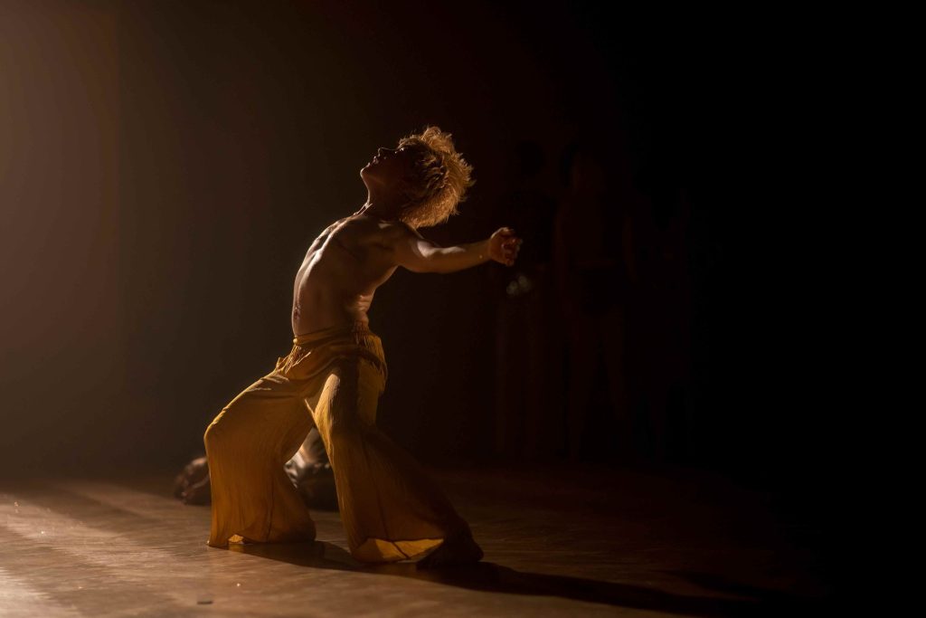 Kateřina Stupecká: Kmeny (foto Vojtěch Brtnický)