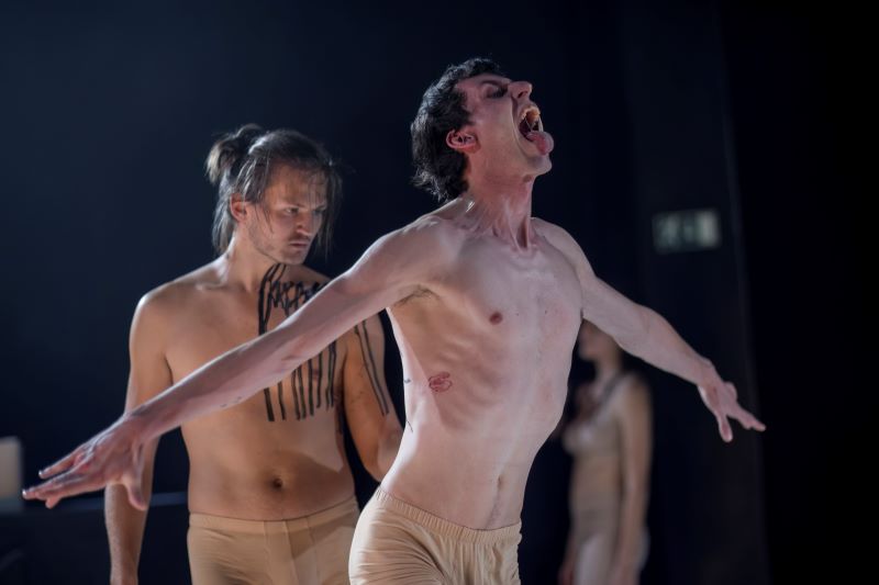 Manus Art Collective – Tepy čar (foto Vojtěch Brtnický)