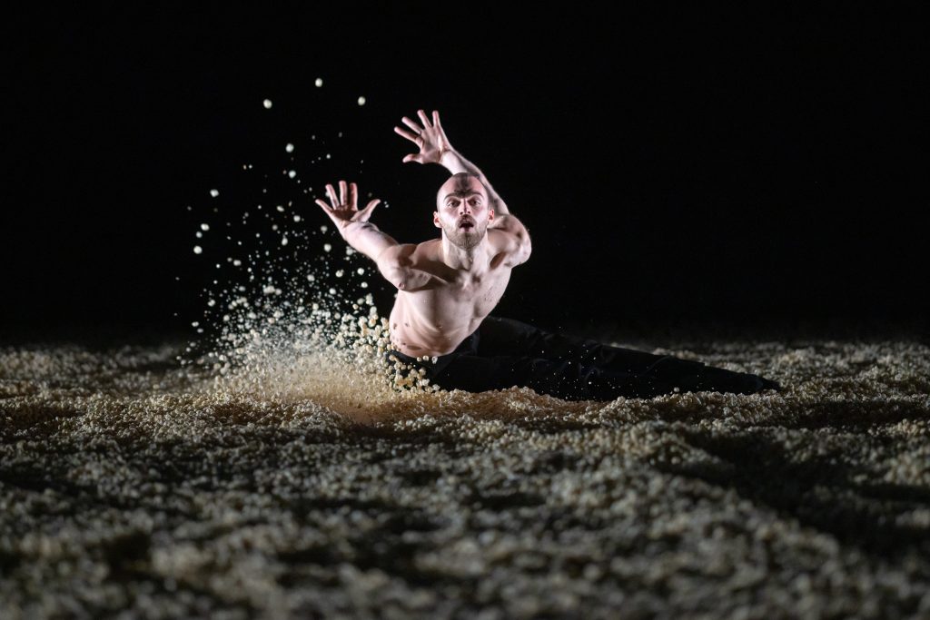 Marco Goecke: Hello Earth, Bühnen Bern, Vidmar+, Bern (foto Gregory Batardon)