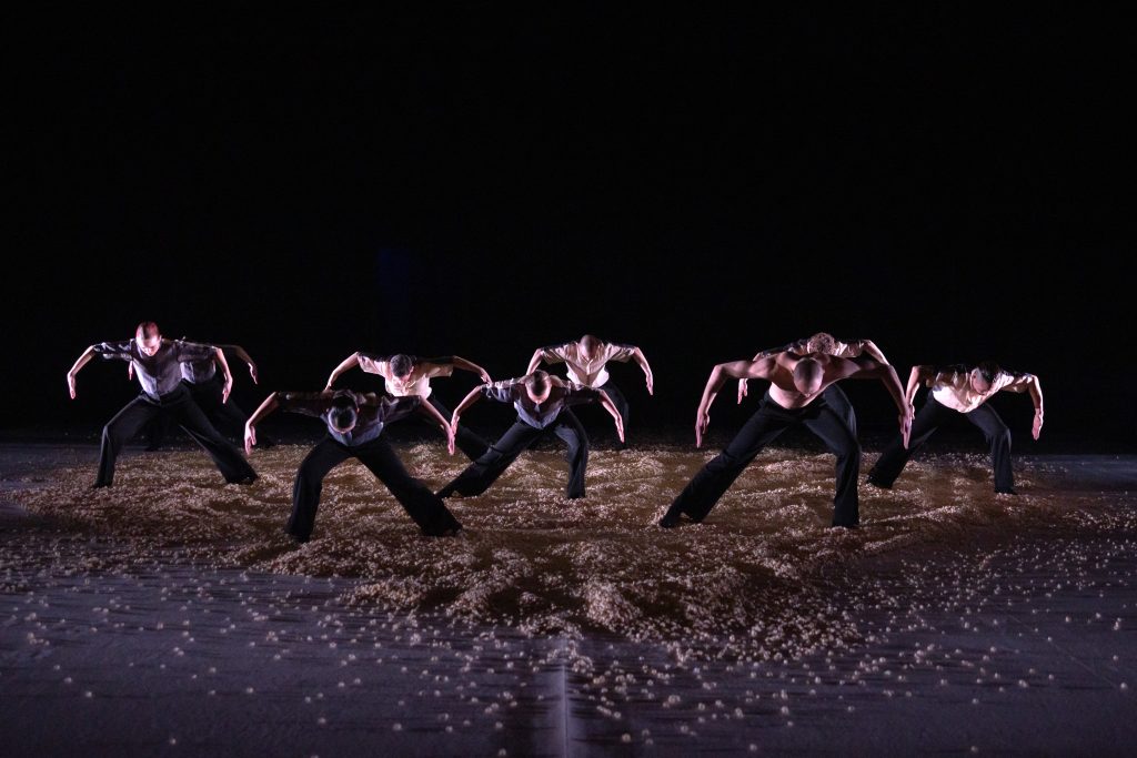 Marco Goecke: Hello Earth, Bühnen Bern, Vidmar+, Bern (foto Gregory Batardon)