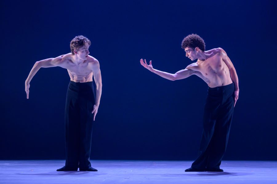 NDM – Firebird Pas de Deux (foto Serghei Gherciu)