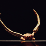 Crystal Pite, Simon McBourney: Figures in Extinction [1.0] the list (foto Rahi Rezvani)