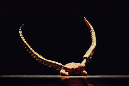 Crystal Pite, Simon McBourney: Figures in Extinction [1.0] the list (foto Rahi Rezvani)