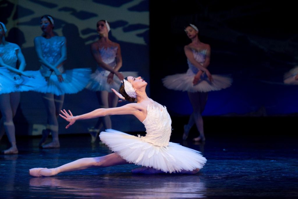 Petr Iljič Čajkovskij: Labutí jezero, Divadlo J. K. Tyla, Plzeň – Afroditi Vasilakopoulou (foto Irena Štěrbová)