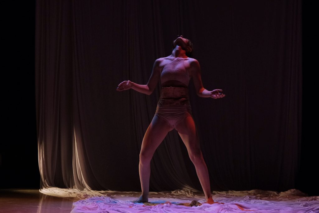 Tereza Pavlíková: Odonata (foto Nela Rusková)