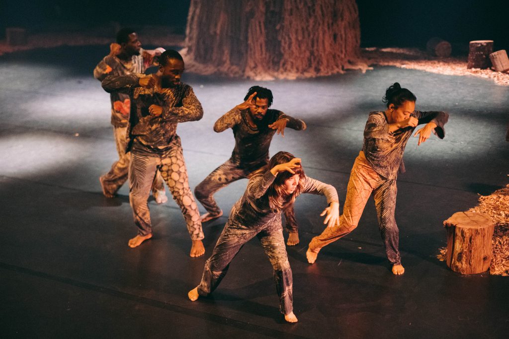 Zora Snake: Combat des lianes (foto Marin Driguez)
