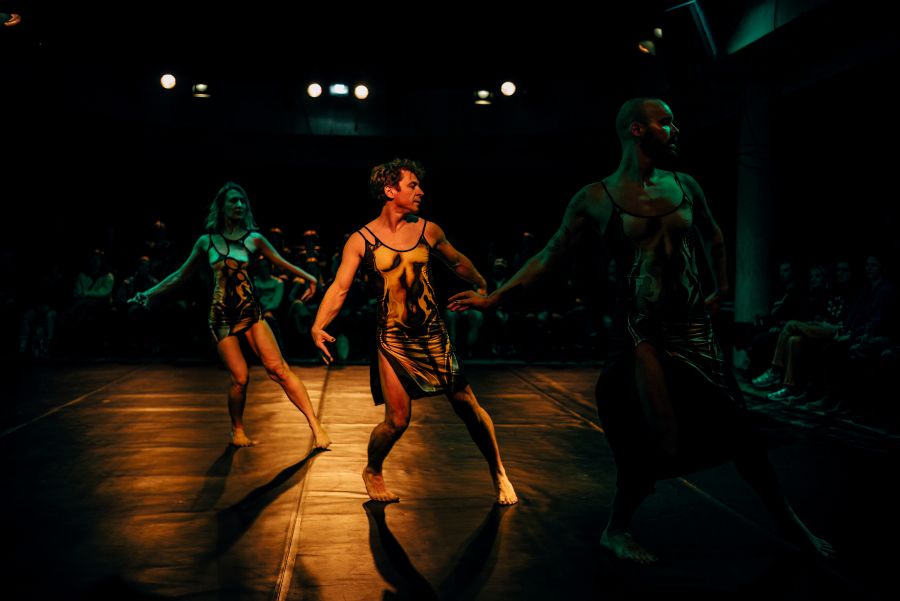 Steam Room na Bazaar Festivalu 2025 – Zhana Pencheva, Aleksandar Georgiev, Darío Barreto Damas (foto Vojtěch Brtnický)