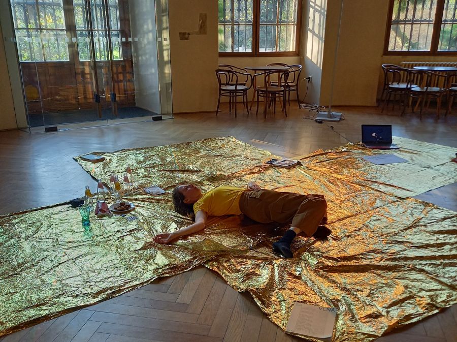 Tanec v galerii – A Fancy (Katarína Brestovanská, foto L. Kocourková)
