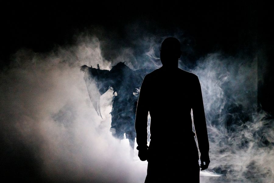 Žal je to s křídly (foto Jörg Brüggemann)