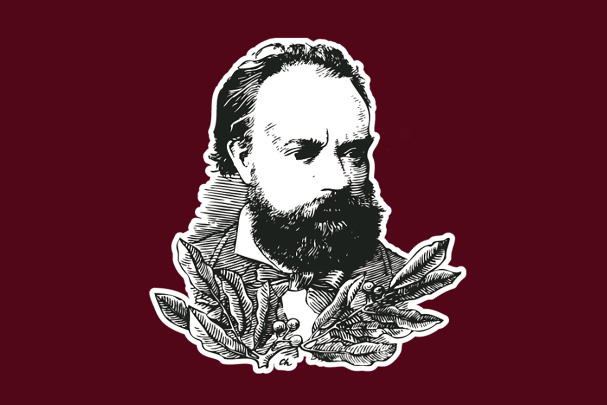Dvořákův festival – vizualizace (zdroj Dvořákův festival)