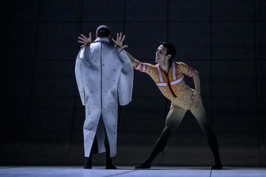 Balet ND, Sarkasmy – And How Is Your Life (Francesco Scarpato, foto Serghei Gherciu)