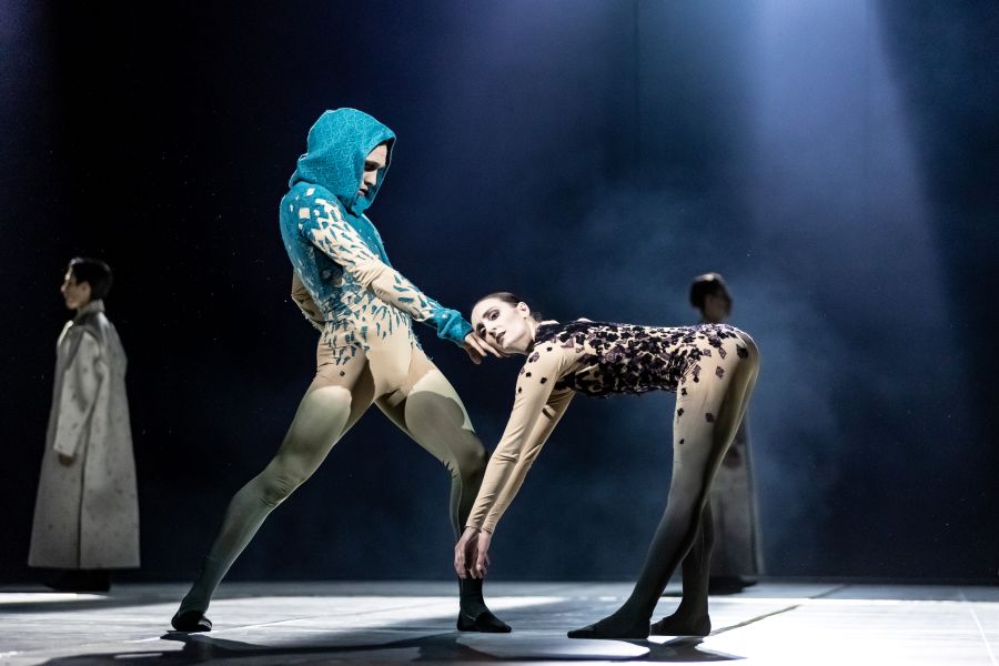 Balet ND, Sarkasmy – And How Is Your Life (Sami Gossart a Alice Petit, foto Foto Martin Divíšek)