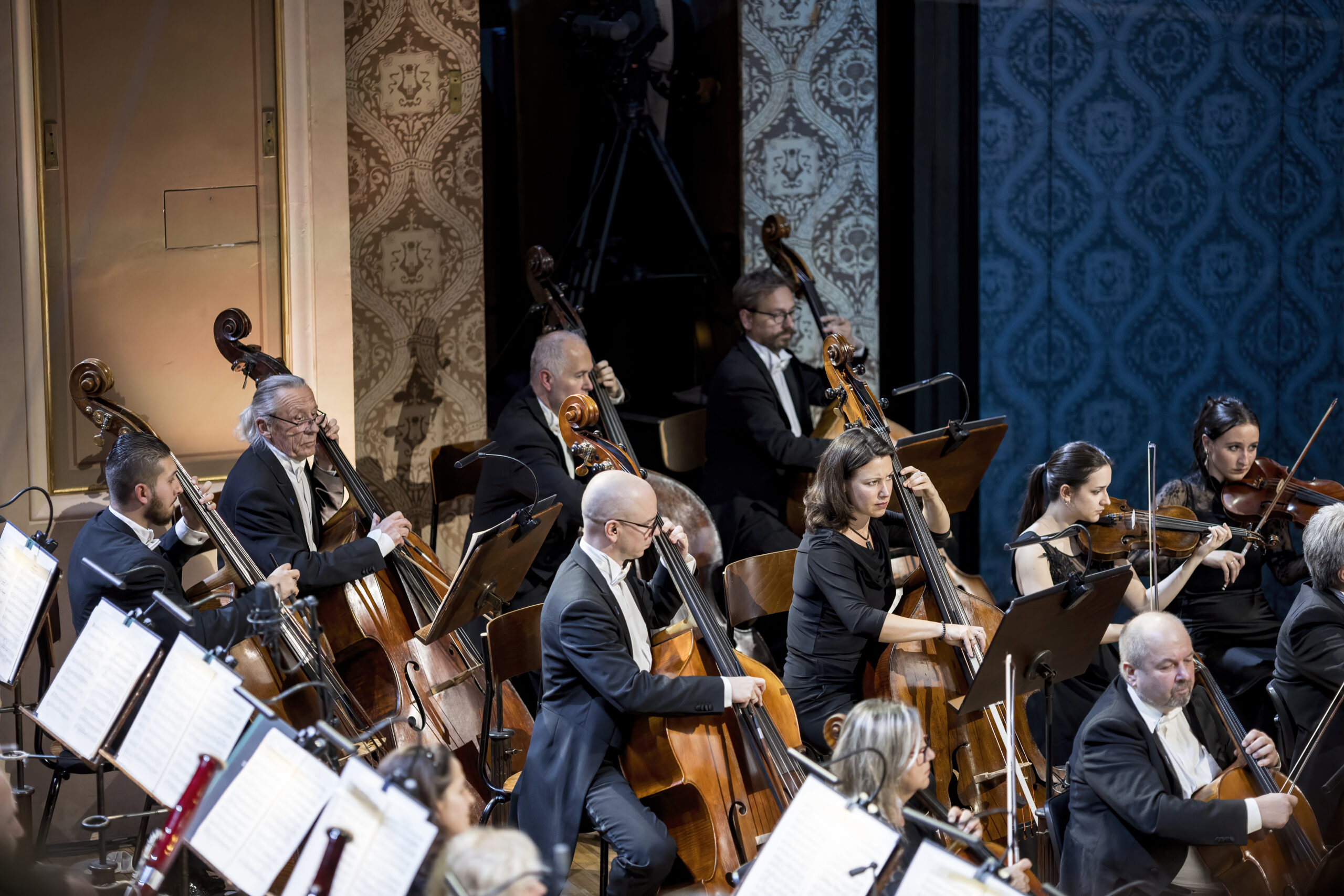 Symfonický orchestr Českého rozhlasu (foto Vojtěch Brtnický)