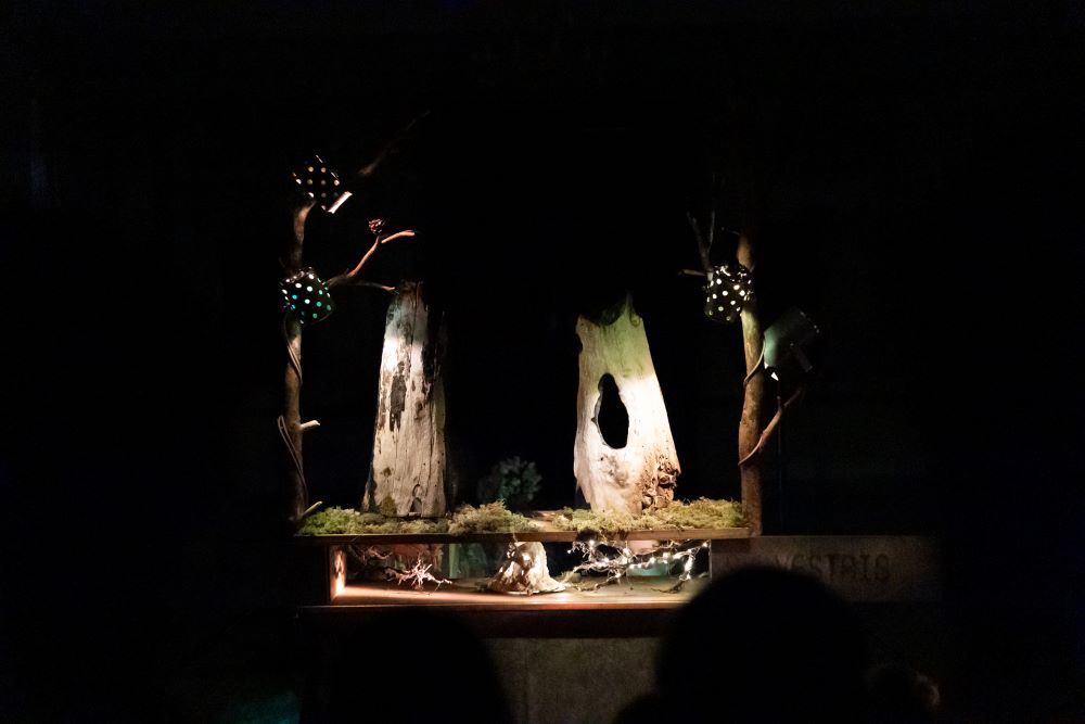 Fabula Sylvestris (foto Alena Češková, KoresponDance 2025)