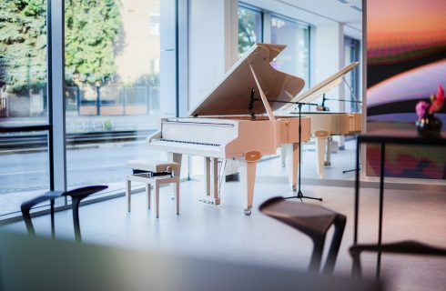 Ilustrační foto (zdroj Petrof Pianos)