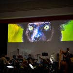 Lednicko-valtický hudební festival: LIFE: Cesta časem, 4. října 2025, zámek Mikulov – Orchestr Berg a Peter Vrábel (foto Pavel Kristián jr.)