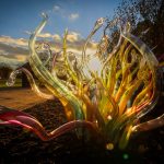 Křišťálová zahrada (zdroj Prague Philharmonia)