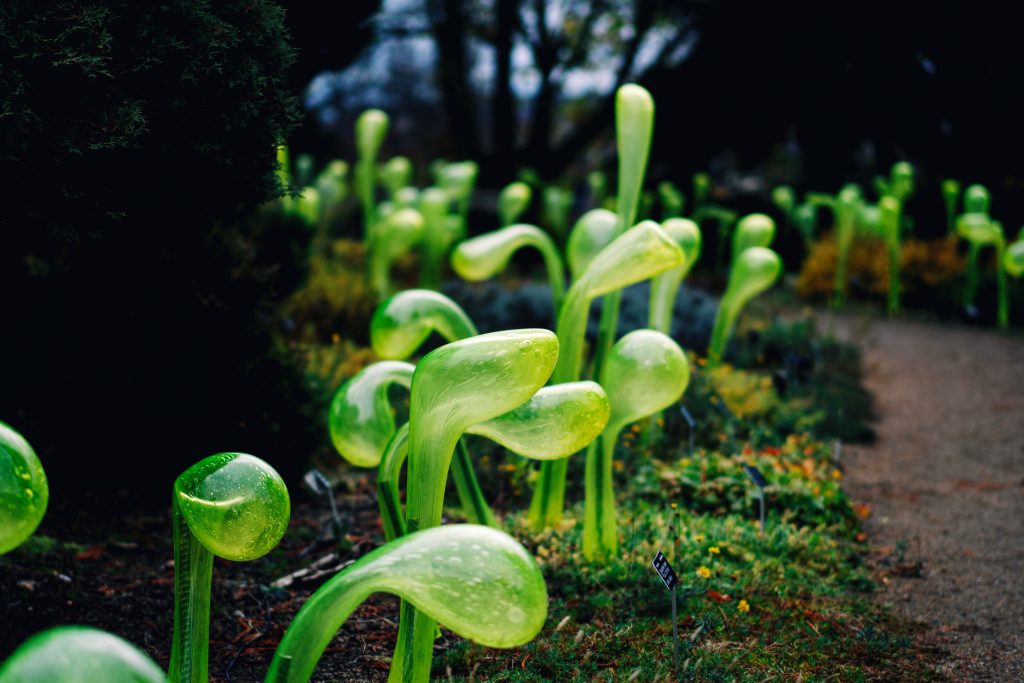 Křišťálová zahrada (zdroj Prague Philharmonia)
