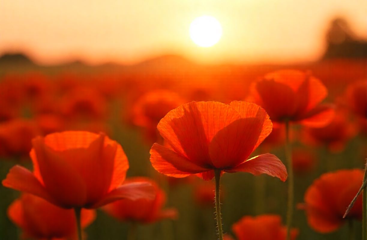 Ilustrační foto, generováno AI (zdroj Freepik)