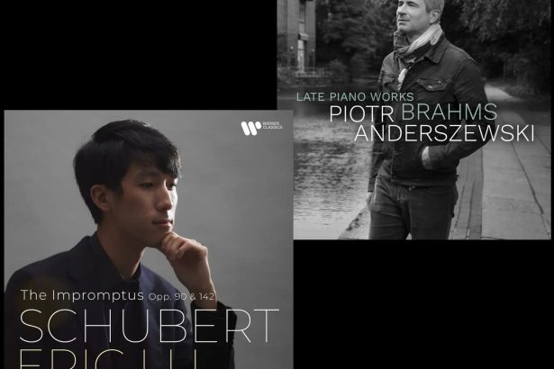 Schubert: Impromptus, Op. 90 & 142, Brahms: Late Piano Works (zdroj Warner Classics)