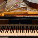 Steinway & Sons (zdroj Komorní filharmonie Pardubice)
